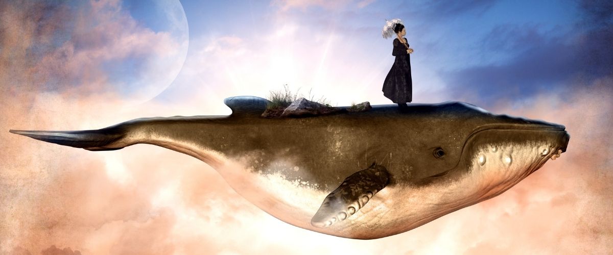 Rejana Woock - Hypnosetherapie in Freiburg