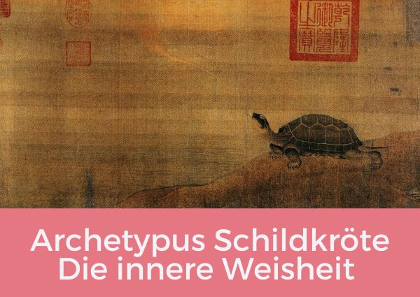 Was Du von der Schildkröte an Weisheit lernen kannst
